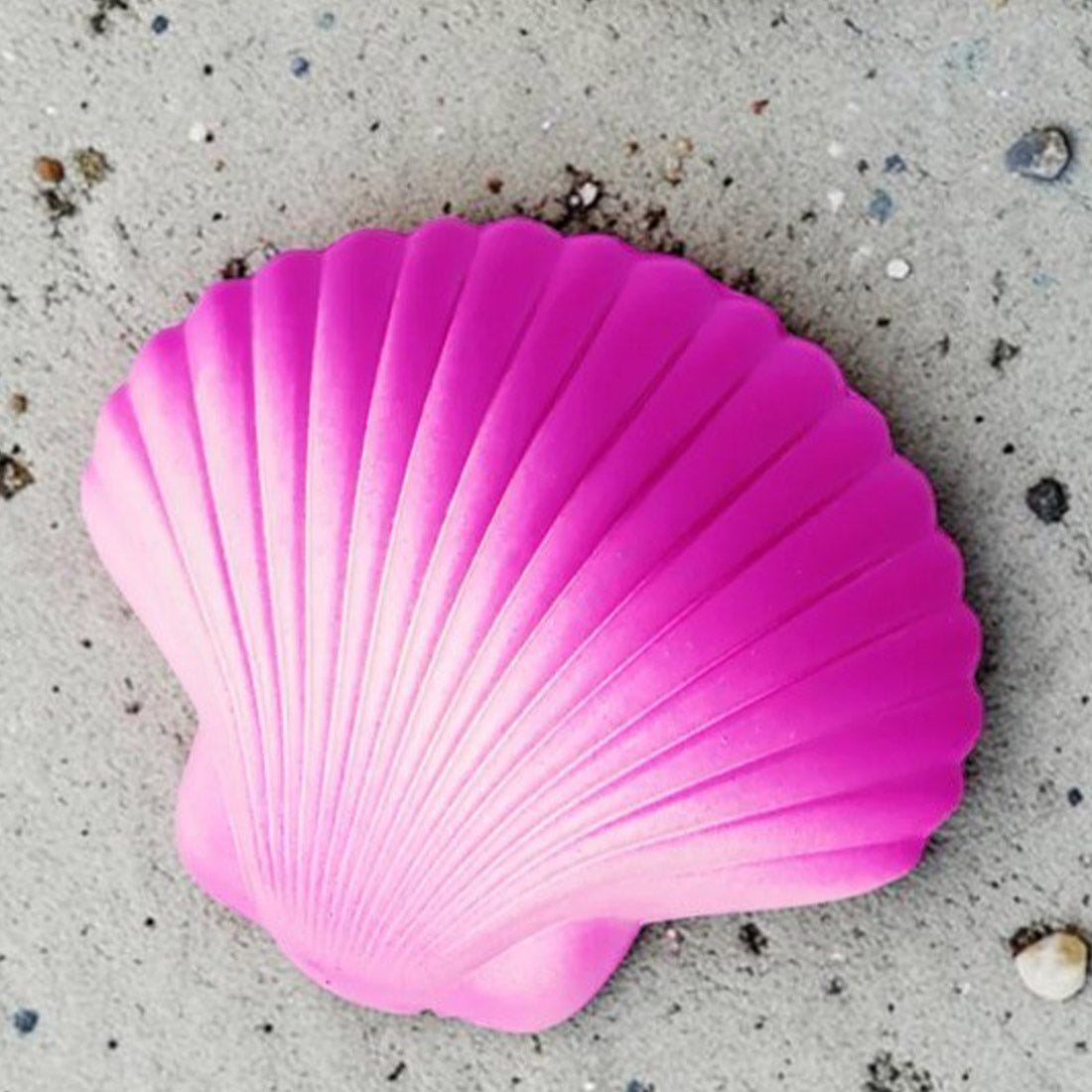 Hatch Clam Shell With Surprise Pearl Bracelet