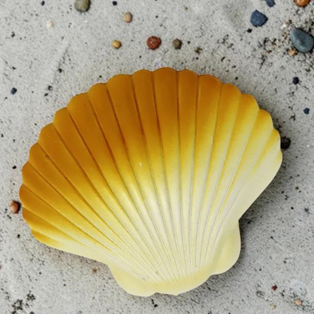Hatch Clam Shell With Surprise Pearl Bracelet