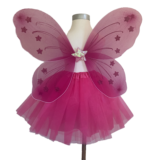 Hot Pink Fairy Tutu and Wing Set