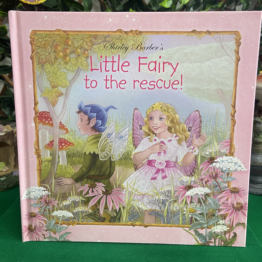 Little Fairy To The Rescue Hardback Book by Shirley Barber