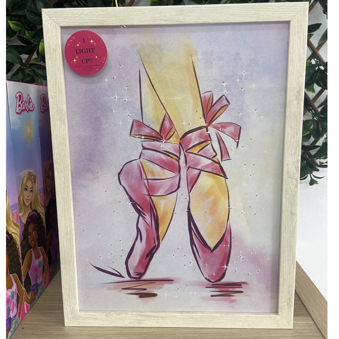 Mad Ally Light Up Frame Pointe Shoes