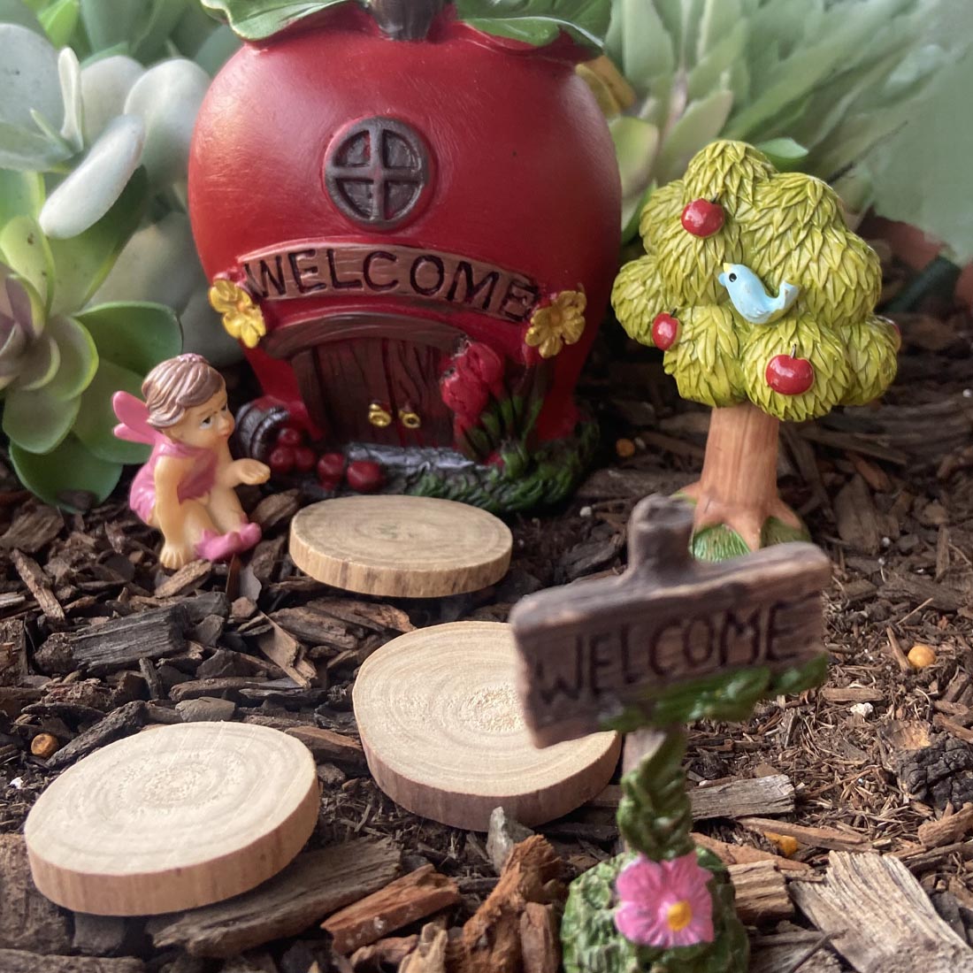 Magical Apple Fairy Garden Starter Kit