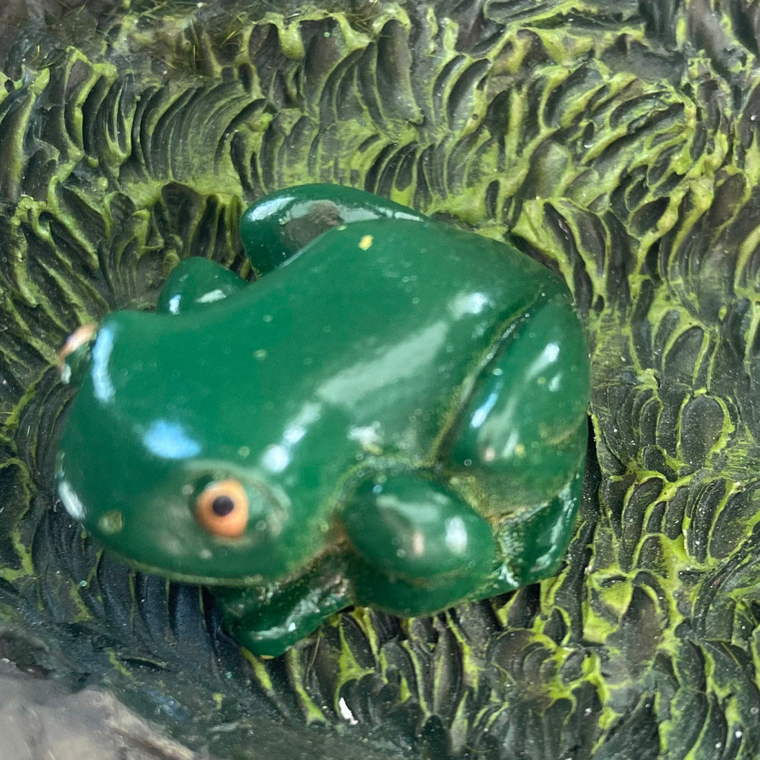 Miniature Green Tree Frog