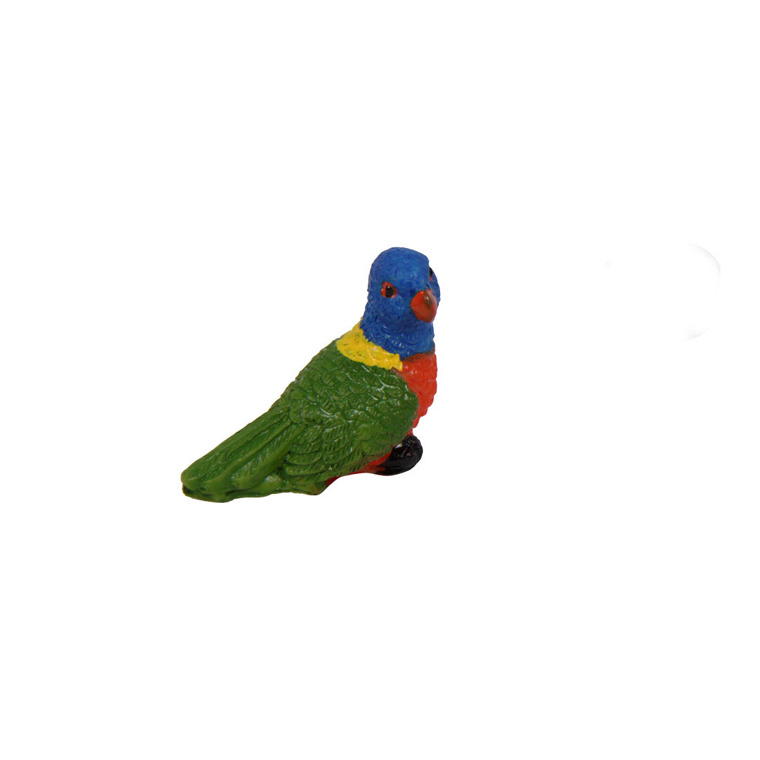 Miniature Rainbow Lorikeet Parrot