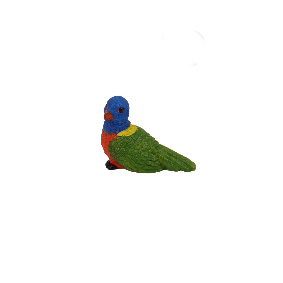 Miniature Rainbow Lorikeet Parrot