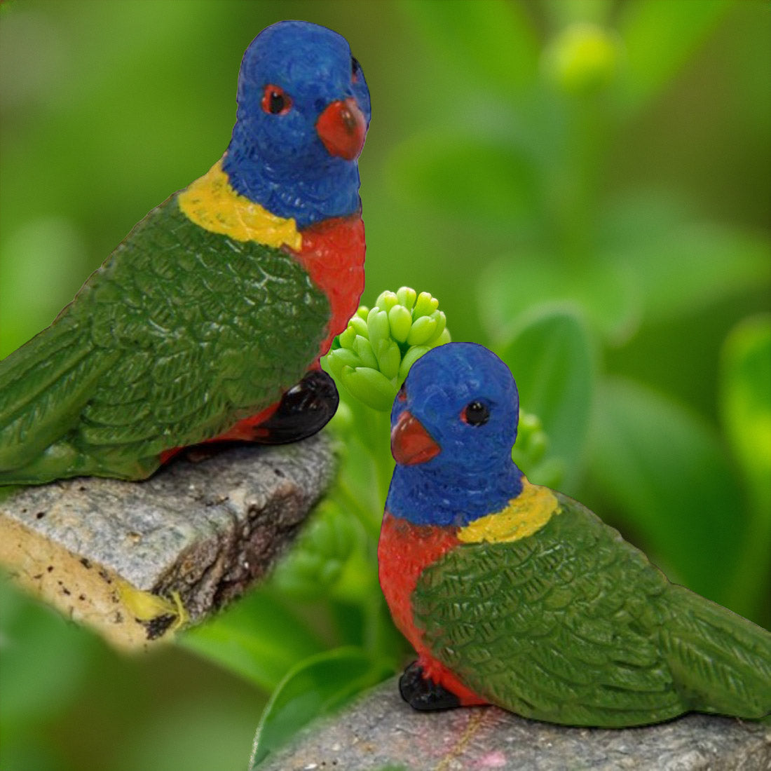 Miniature Rainbow Lorikeet Parrot