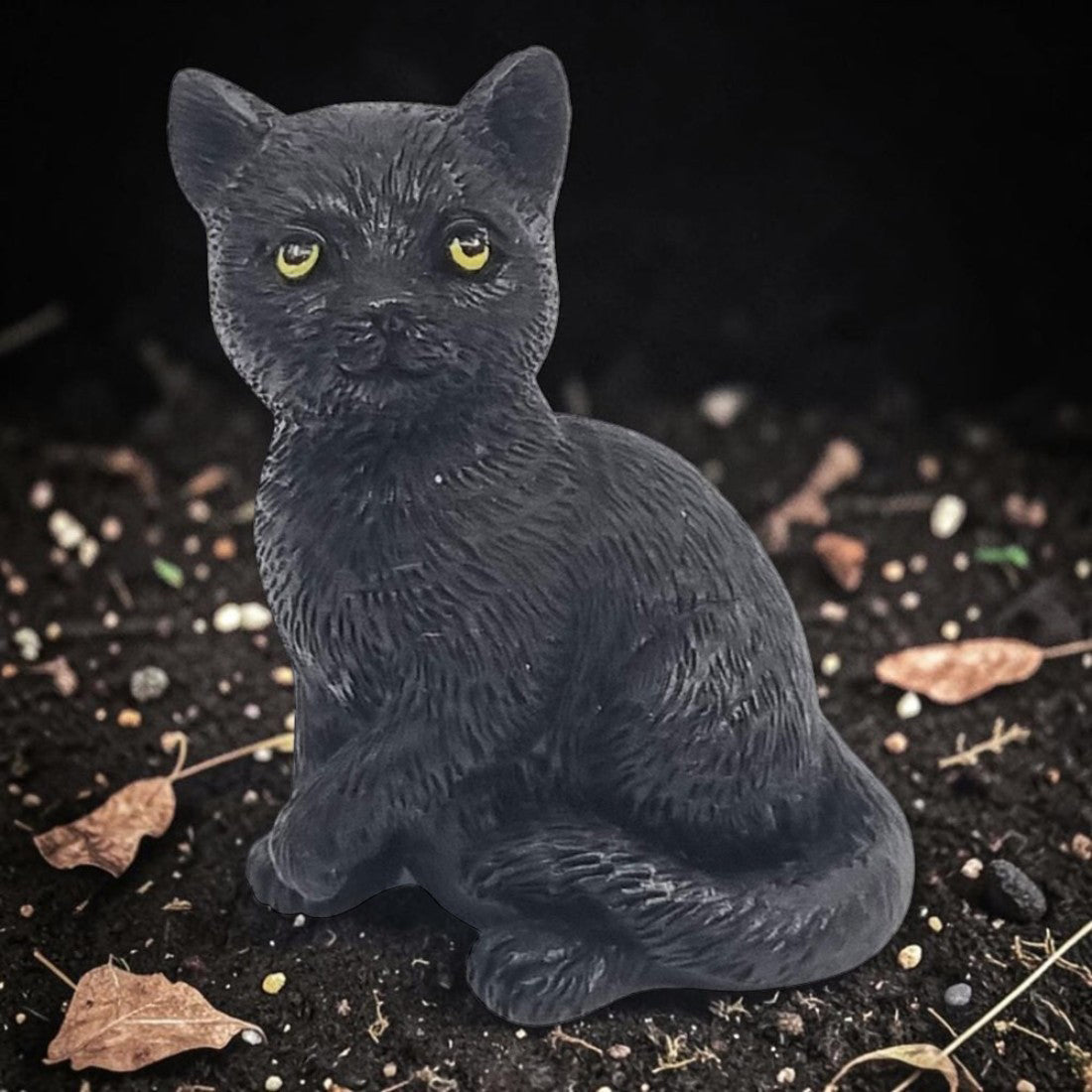 black good luck cat