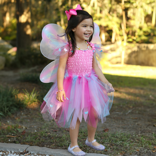 Pink Butterfly Dress & Wings