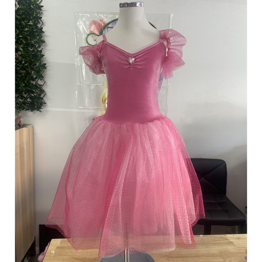 Princess Rose Velvet Dress with Ombre Tulle 5-6 Years