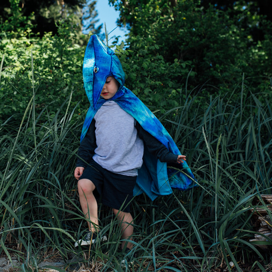 Pterodactyl Hooded Cape - Size 4-5