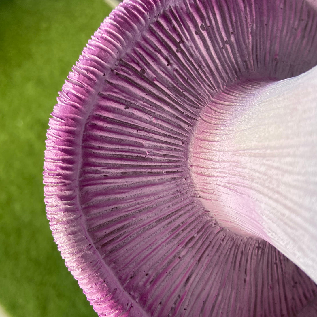 Purple Mushroom Fairy Garden House