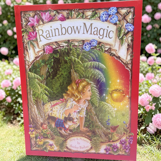 Rainbow Magic Hardback Book by Shirley Barber