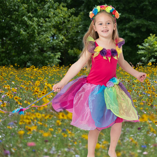Rainbow Wish Fairy Dress and Wishing Wand