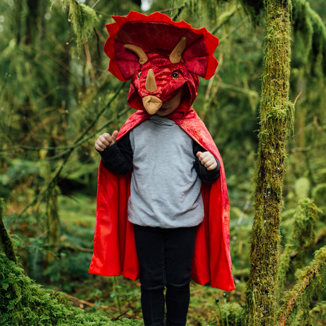 Red Triceratops Hooded Cape - Size 4-5