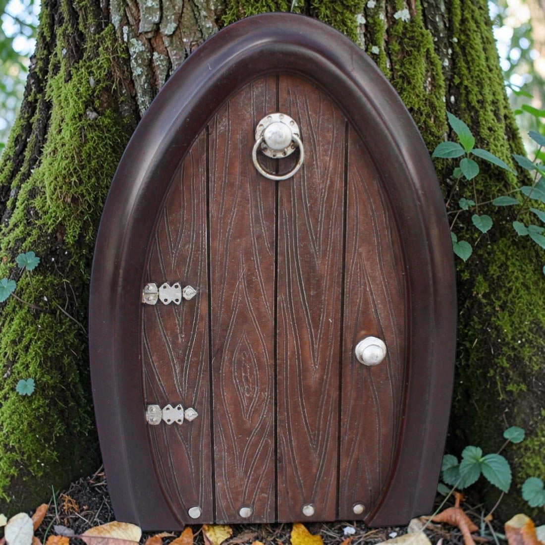 Secret Wooden Fairy Door