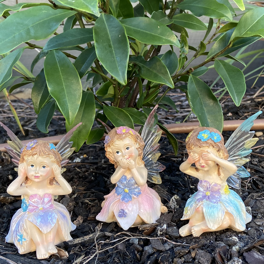 See Speak Hear No Evil Fairy Figurines Set Of 3