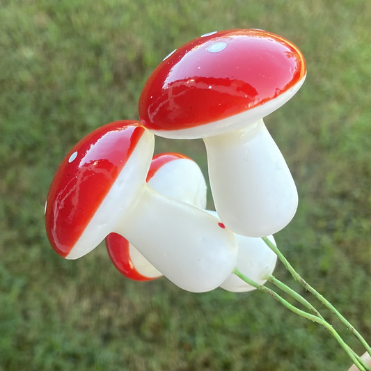 Set of 12 - Medium 2.5cm Mushrooms