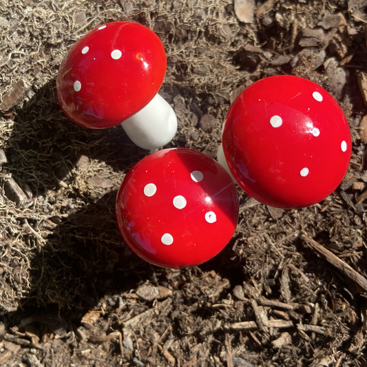 Set of 6 - Large 3.5cm Mushrooms (Copy)