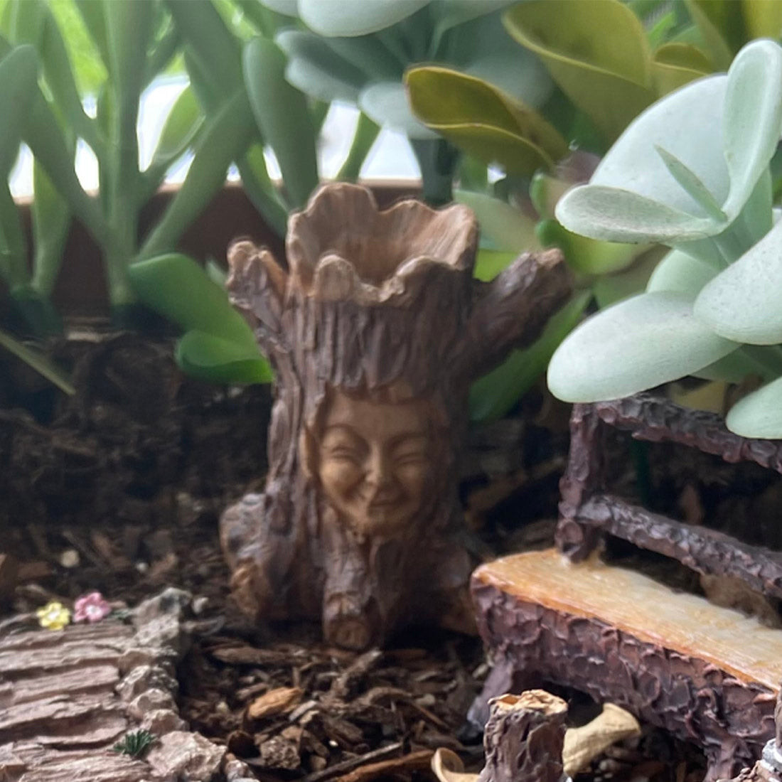 Small Fairy Garden Smiling Tree