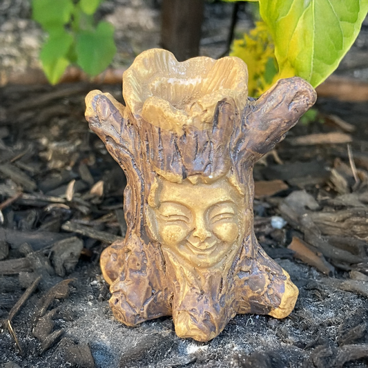 Small Fairy Garden Smiling Tree