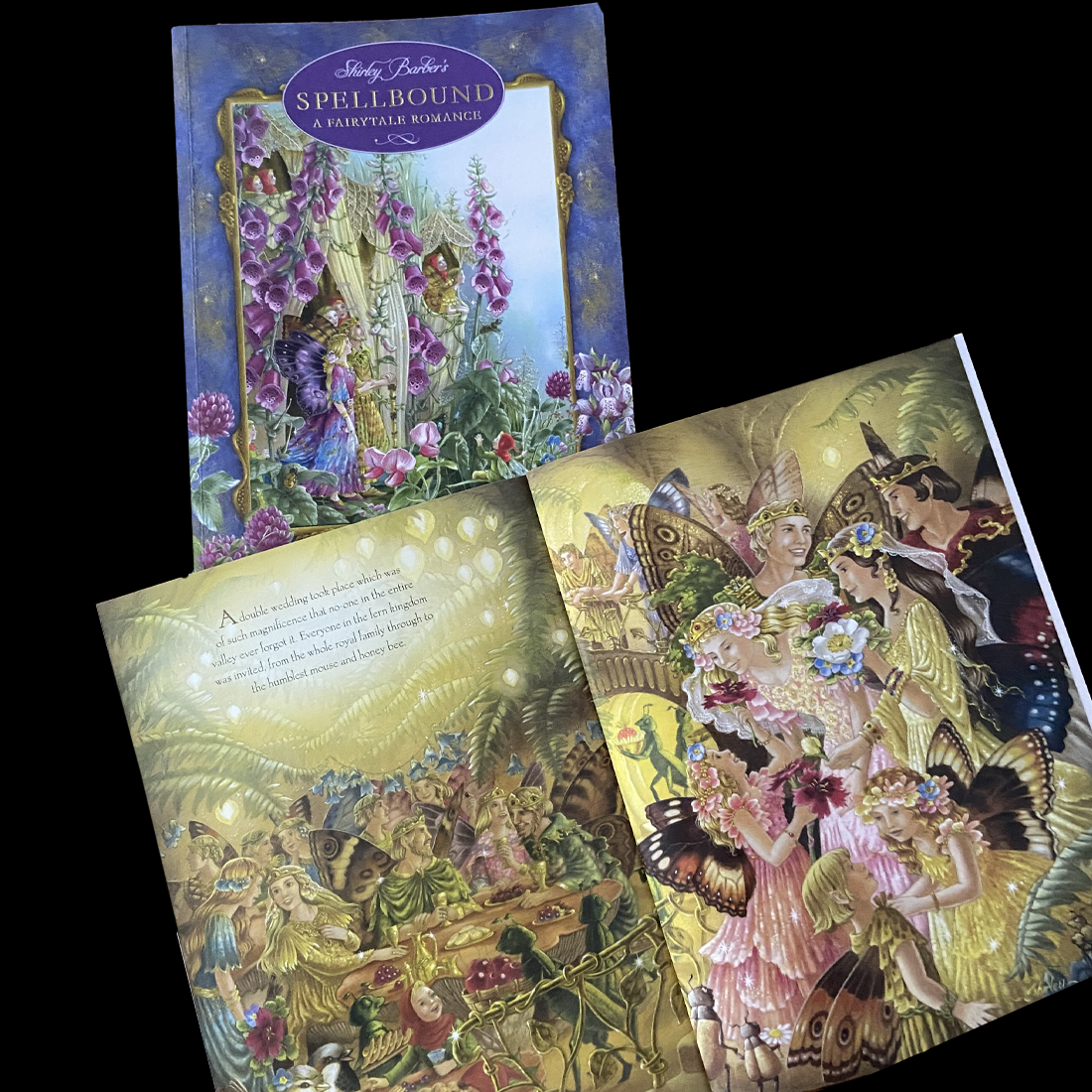 Spellbound A Fairytale Romance Paperback Book by Shirley Barber