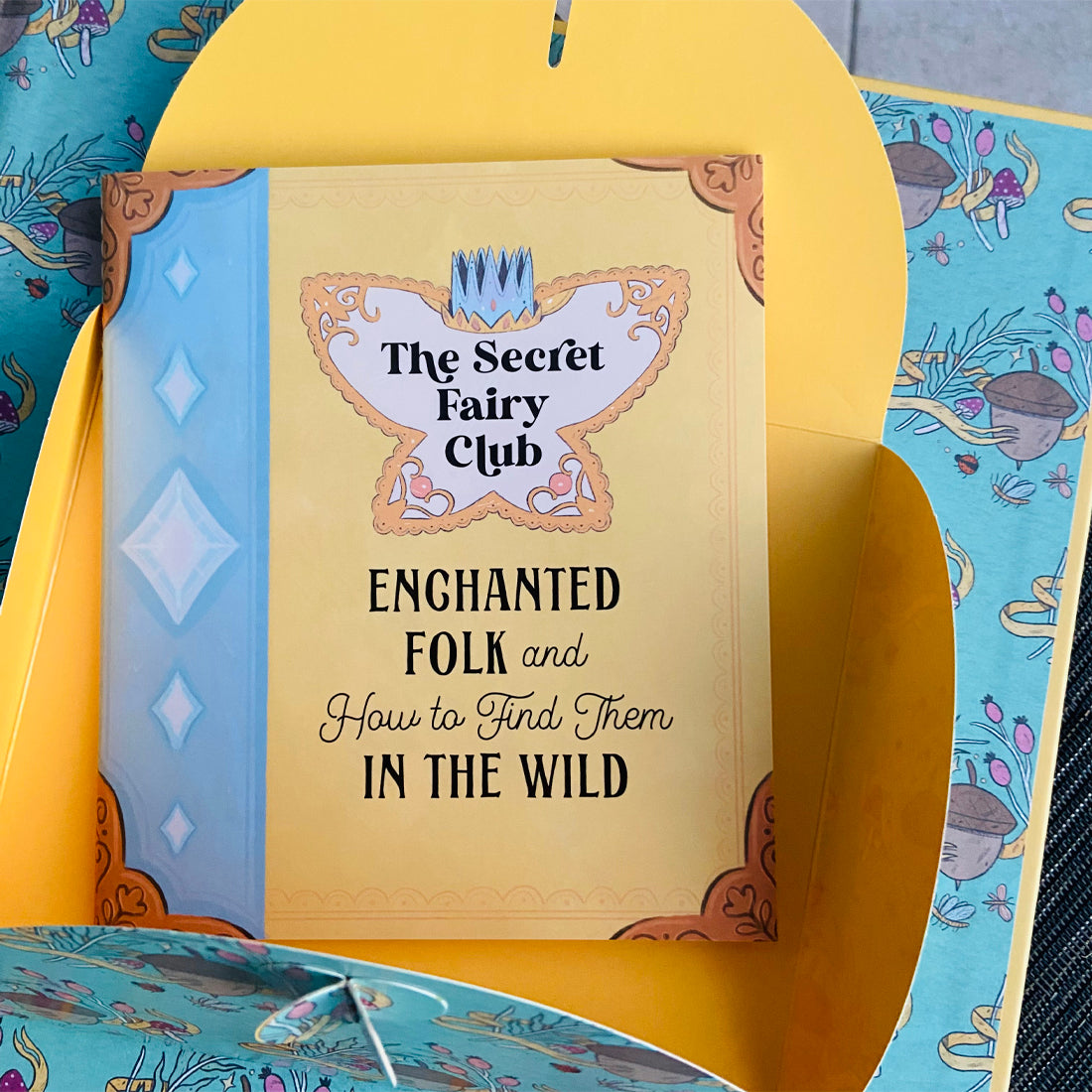 The Secret Fairy Club Discover a Hidden Book Within a Book