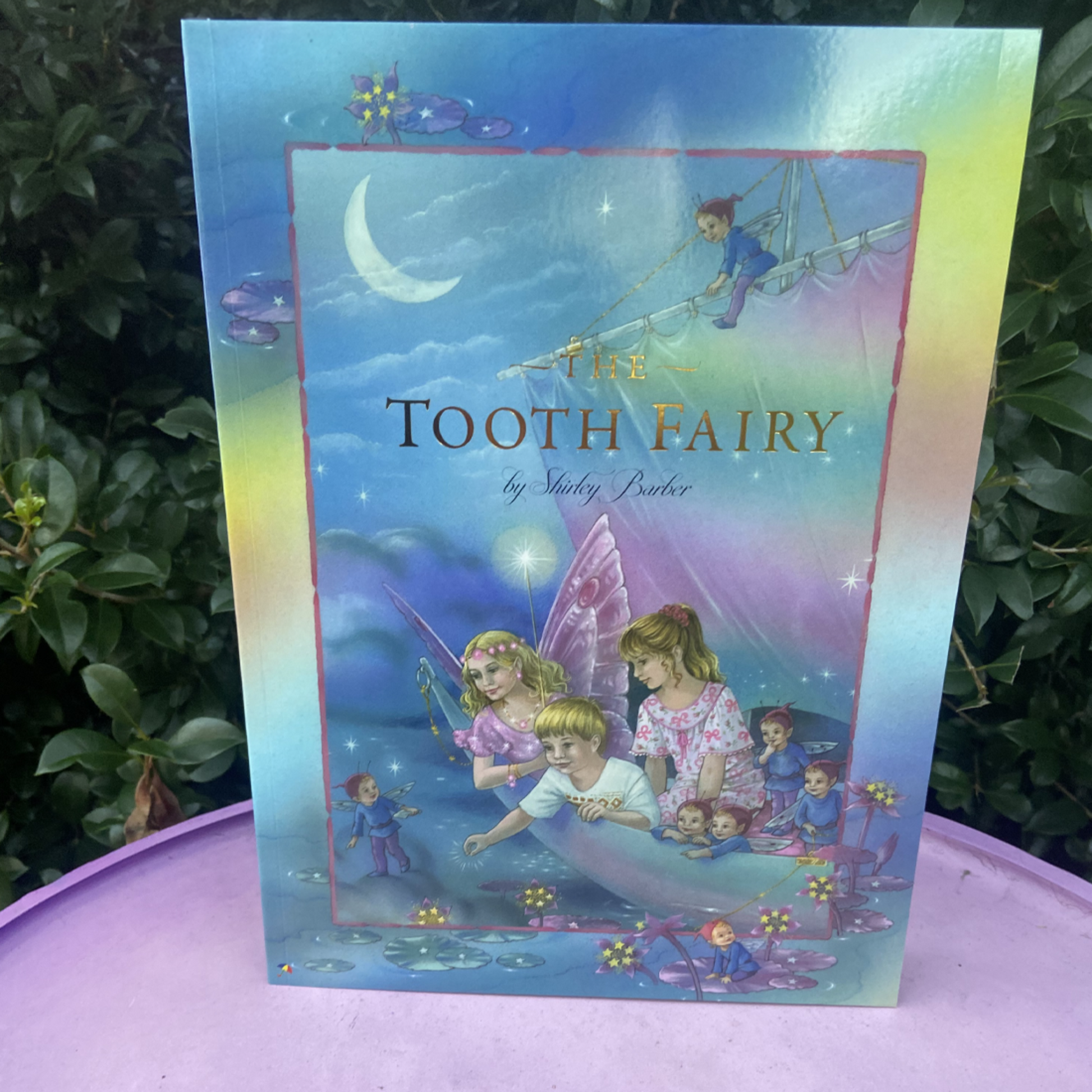 Book cover of 'The Tooth Fairy' with illustrations of children and a fairy against a night sky.