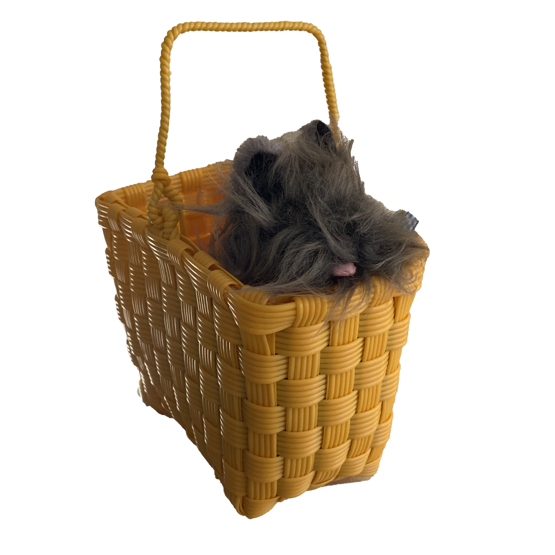 The Wizard of Oz Toto in a Basket