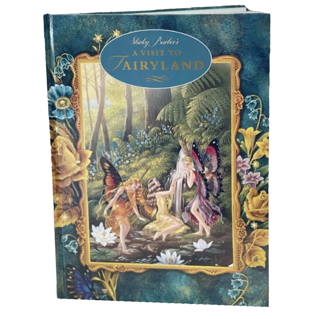 A Visit to Fairyland Hardback Book by Shirley Barber