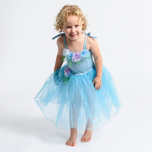 Blue Sugar Plum Ballerina Fairy Dress