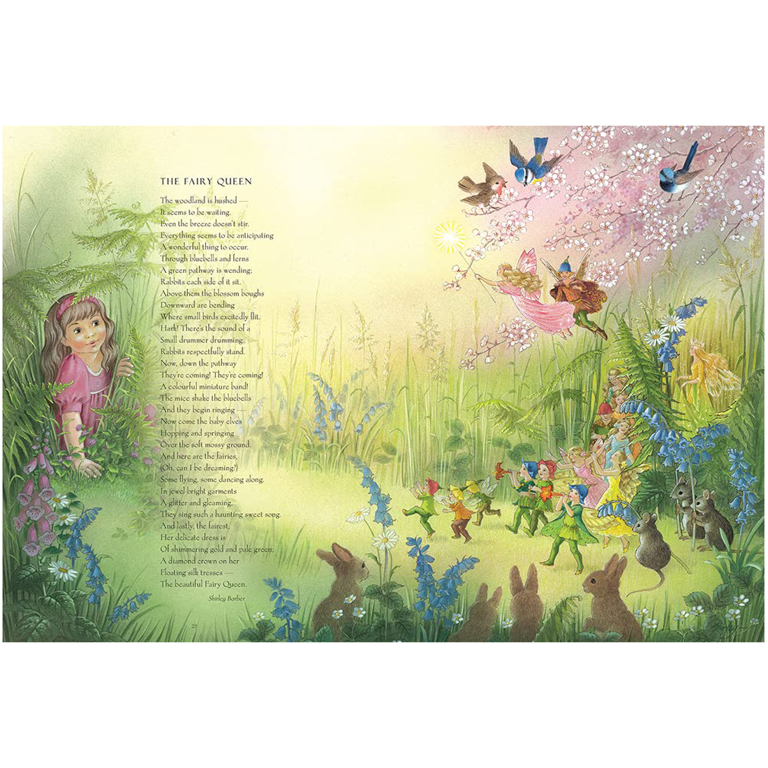Fairy Book (lenticular edition) Hardback Book by Shirley Barber