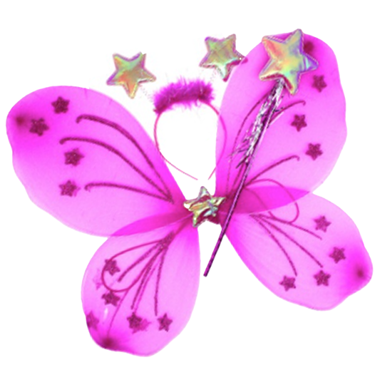 Hot Pink Fairy 3 Piece Wing Costume Set