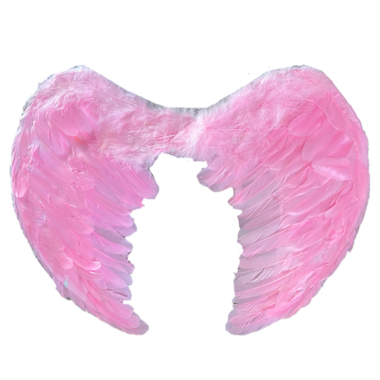 Large Pink Feather Wings