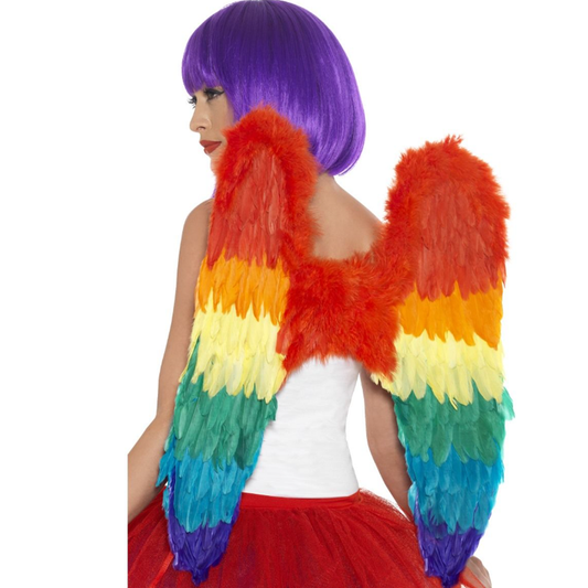 Large Rainbow Feather Wings