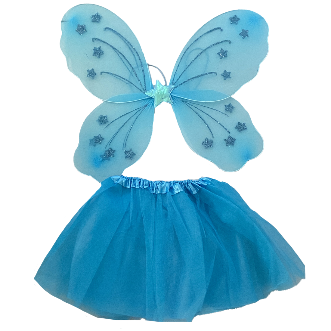 Light Blue Fairy Tutu and Wing Set