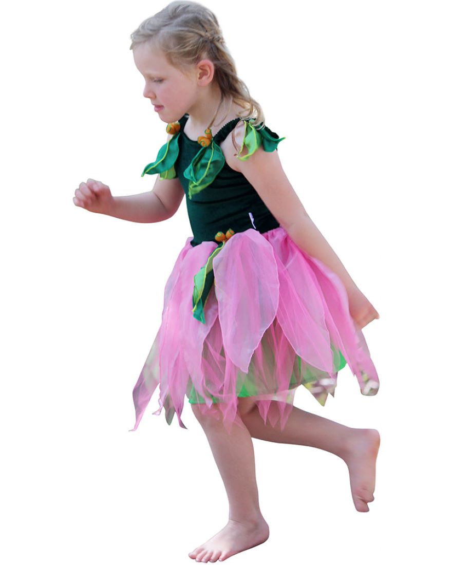 May Gibbs Little Ragged Blossom Fairy Dress