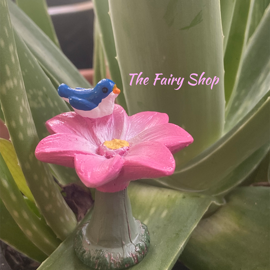 Miniature Fairy Garden Flower Bird Bath