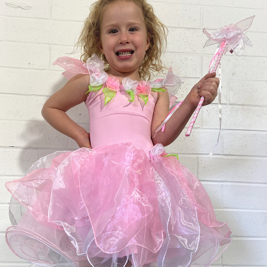 Fairy Costume Girls Birthday Gift Girls Dress up Aqua Fairy Tutu Gift for  Girls Fairy Wings Girls Birthday Outfit 